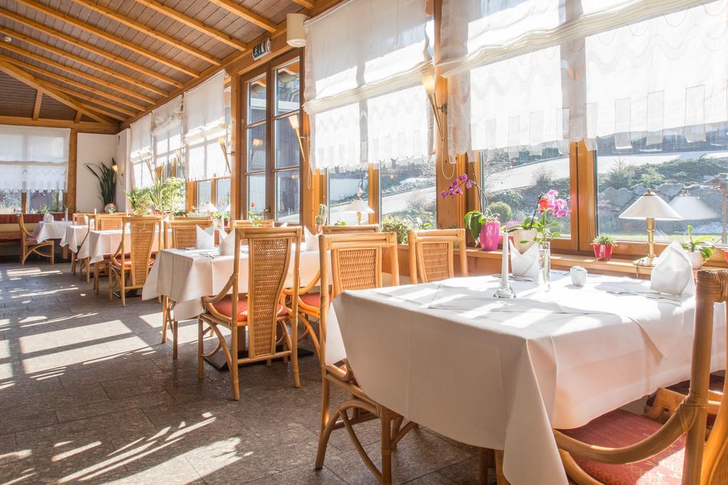 Landhotel Rittersgruen Breitenbrunn  Kültér fotó